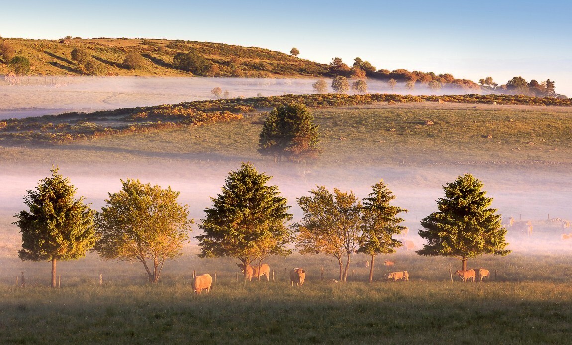 exploitation ferme Aveyron
